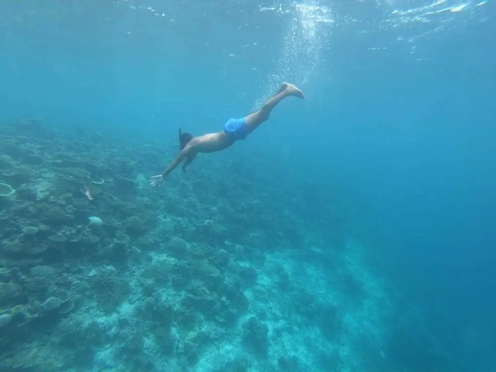 Южный Мале Атол: ilaa Beach Maldives