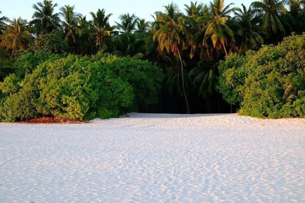 Атолл Баа: Sand Inn Residence
