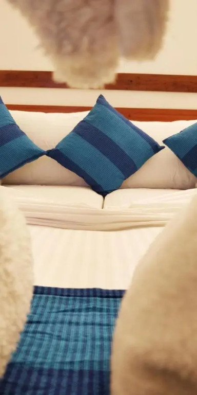 Фулидху: Отель Alkina Lodge