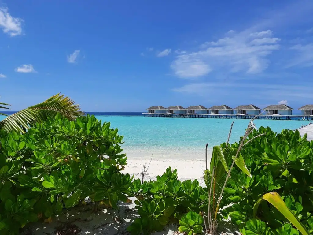 Атолл Вааву: Курорт Cocogiri Island Maldives
