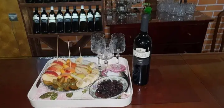 Кутаиси: Hotel Villa