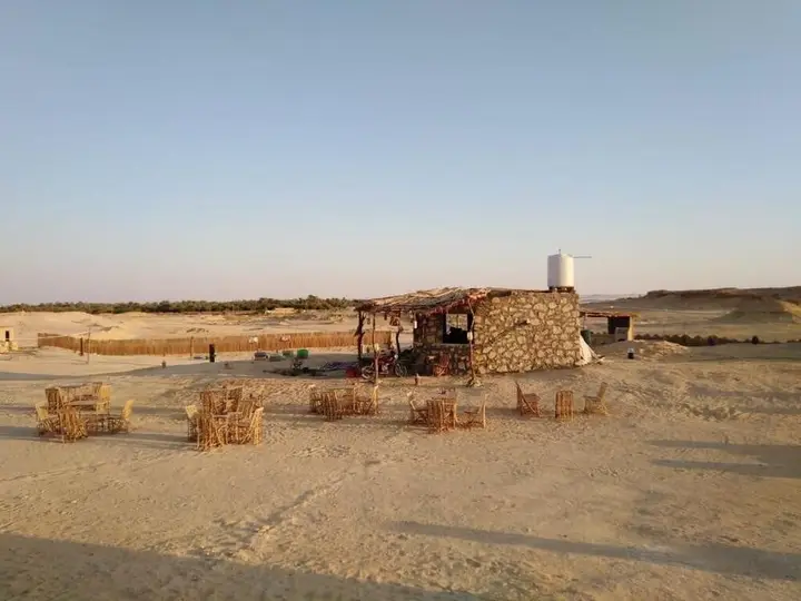 Сива: Siwa Tonaroz