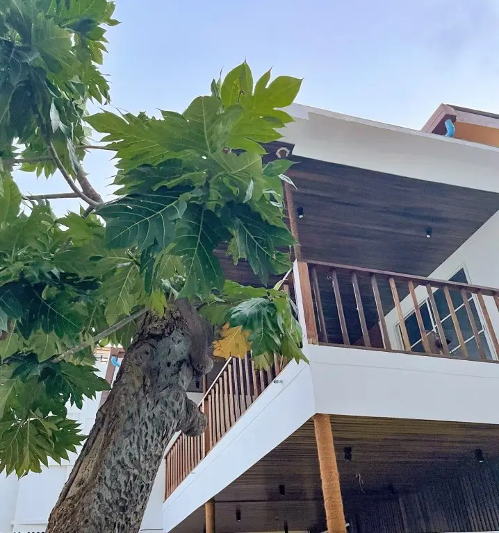 Южный Мале Атол: Отель Fatims Beach House Maafushi