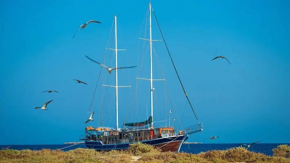 Хургада: La Vela