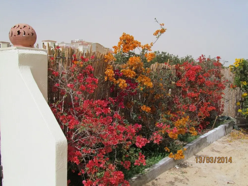 Хургада: A Beautiful, Family-owned Penthouse Apartment, Overlooking the Red Sea. Hurghada
