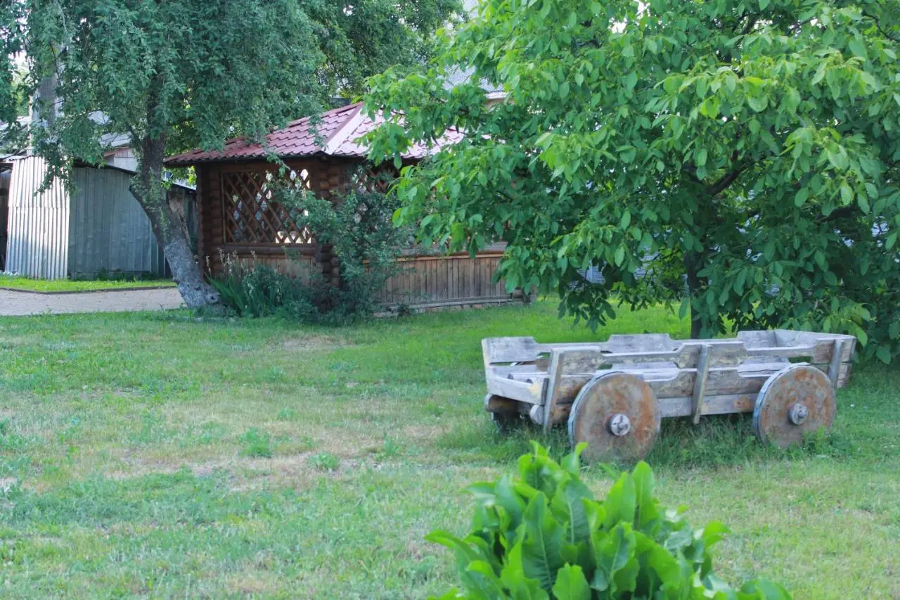 Янтарный: Guest house u Okhotnika