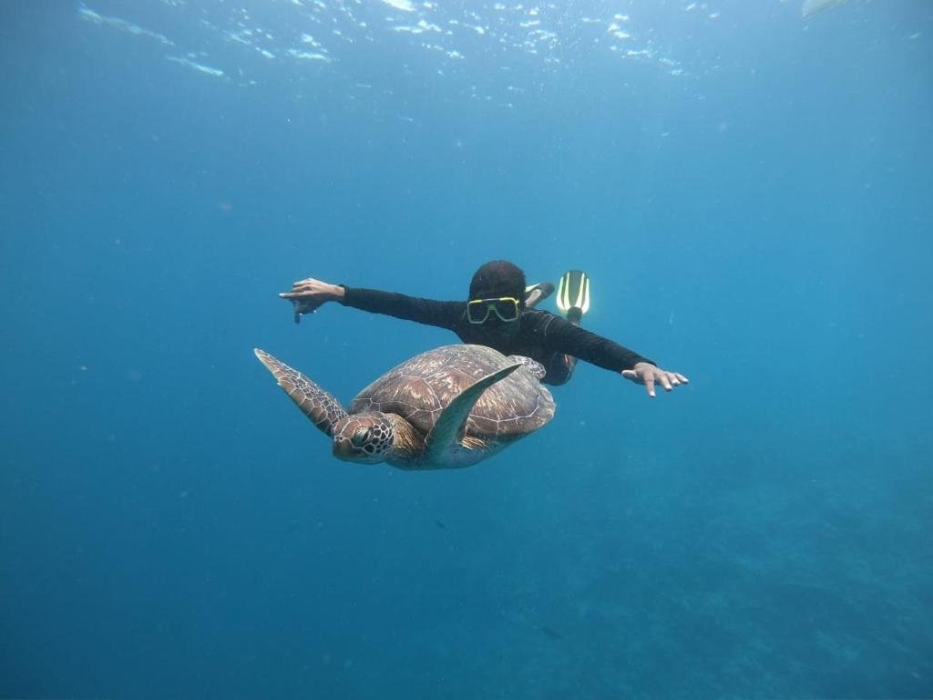 Атолл Алиф-Дхаалу: Hudhuveli Maldives