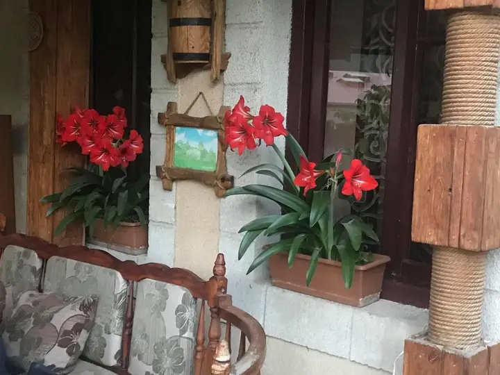 Иджеван: Гостевой дом Guesthouse Anahit Ijevan
