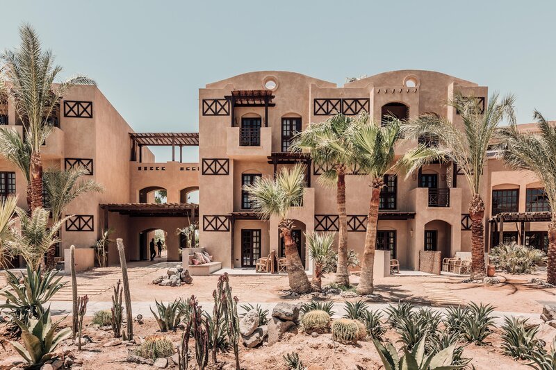 Cook's Club El Gouna - Adults Only — фото 1