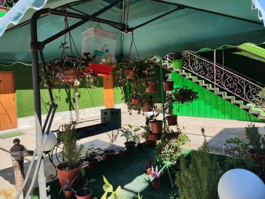 Бухара: Гостевой дом Green House Hotel