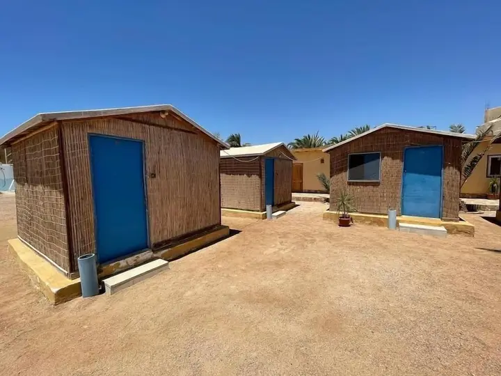 Сант-Катрин: Dolphin Camp
