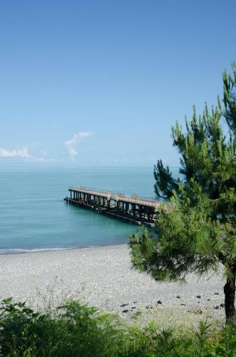 Батуми: Batumi Green Cape Guest House