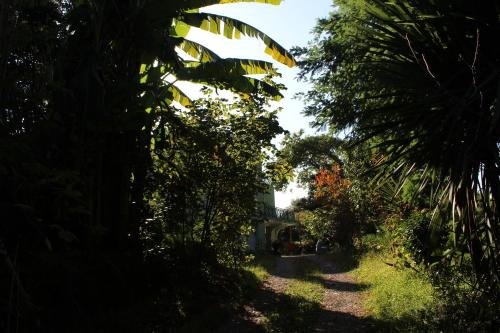 Батуми: Batumi Green Cape Guest House