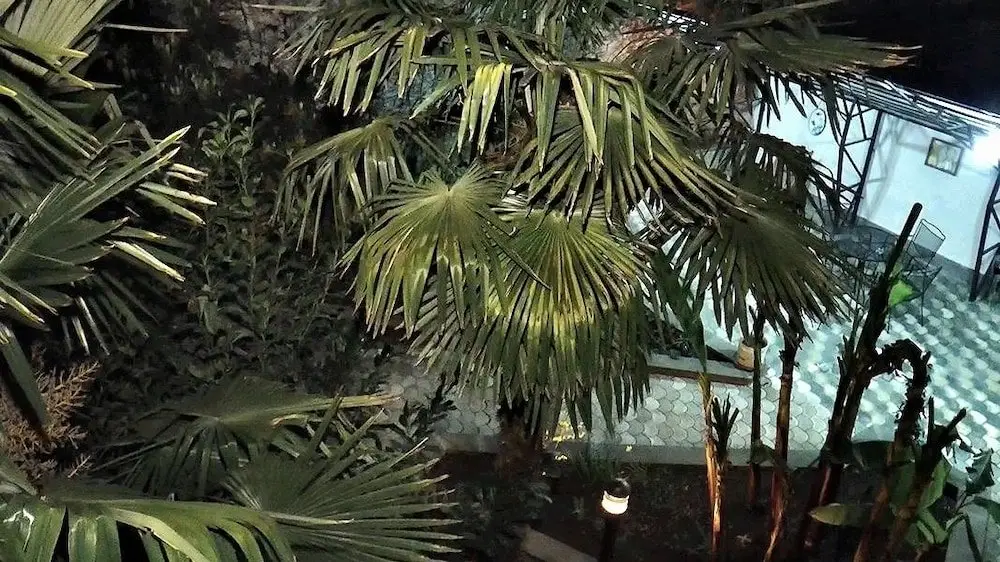 Тбилиси: Villa Courtyard