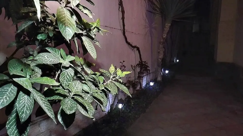 Тбилиси: Villa Courtyard