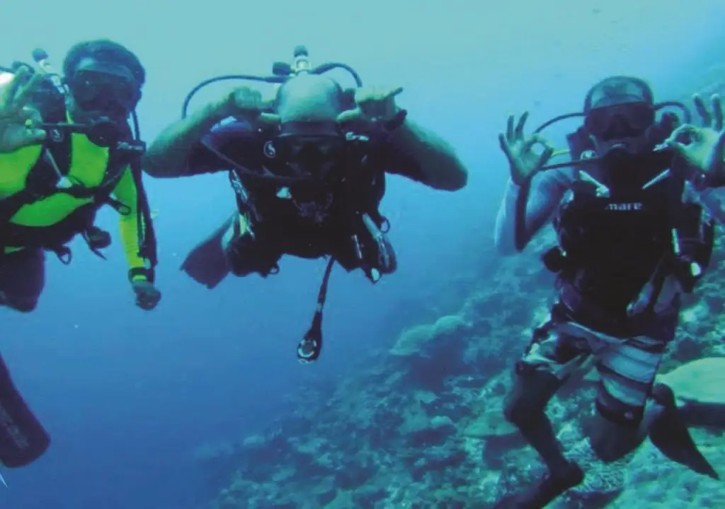 Фувамула: Viluxer Veyli & Diving