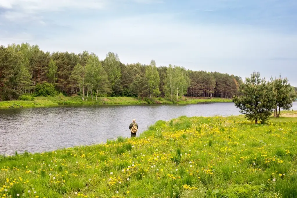 Молодечно: Sosnovyj bor, Minskaja oblast'