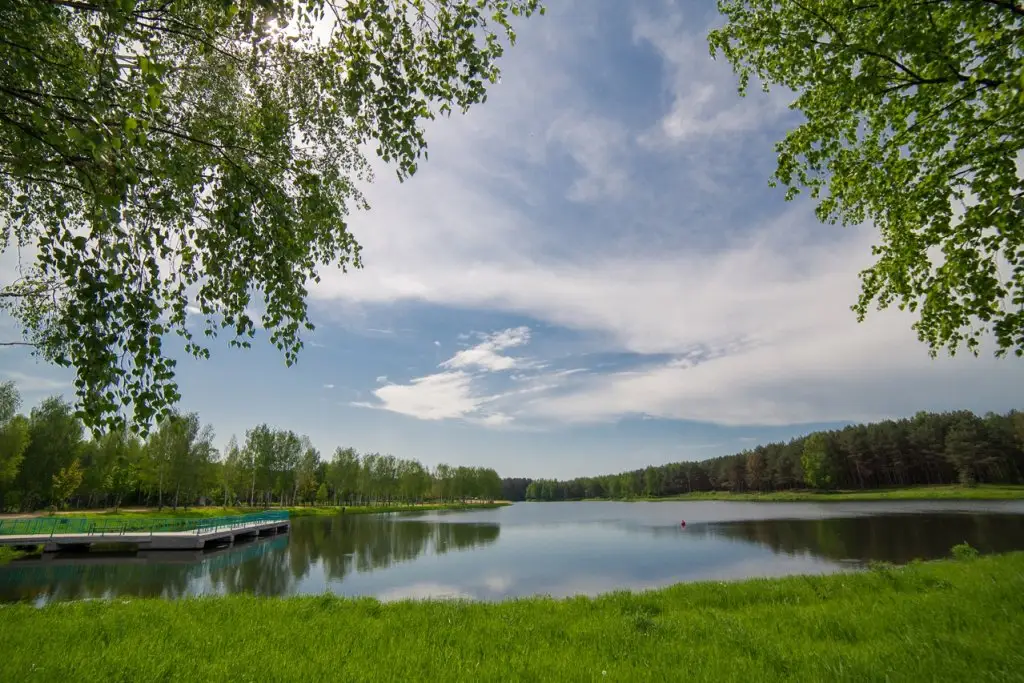 Молодечно: Sosnovyj bor, Minskaja oblast'