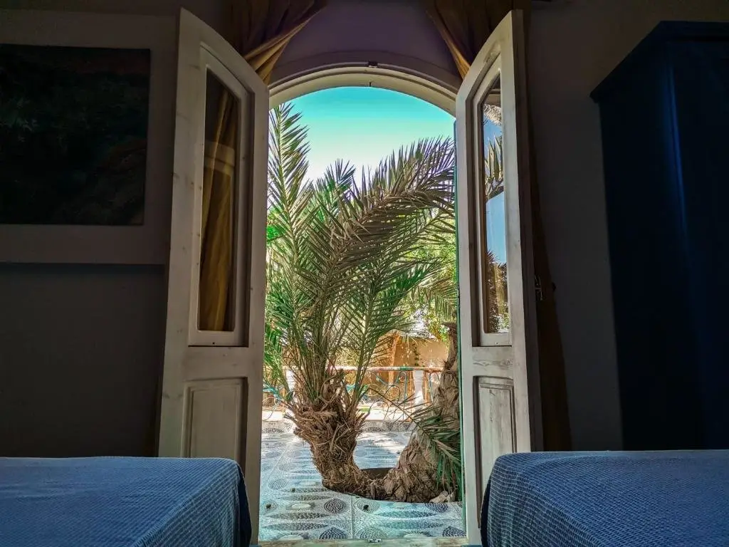 Дахаб: Skyrock Garden Dahab