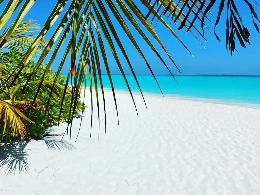 Атолл Хаа-Дхаалу: Отель Hondaafushi Island Resort