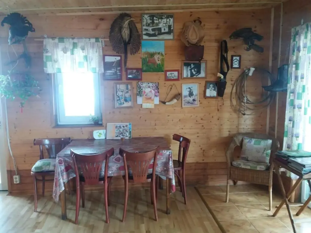Домненские дворы: Фермерский дом