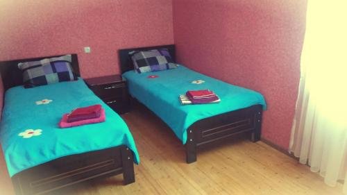 Удабно: Shamil Home Stay in Udabno