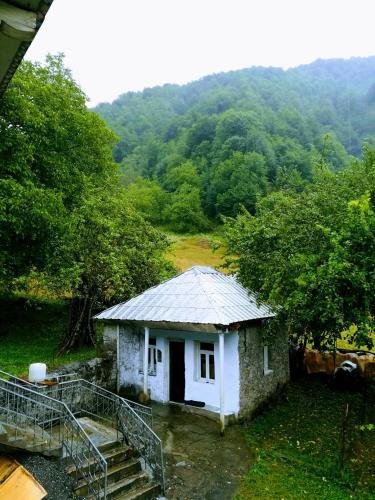Паки: Svaneti. Place in nature for rest