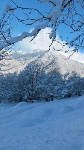 Паки: Svaneti. Place in nature for rest