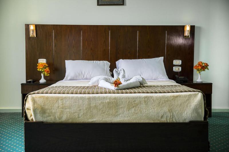 Гиза: Swiss Inn Mohandeseen