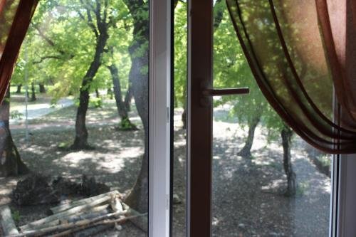 Гурджаани: Marine Bebo Bed and Breakfast