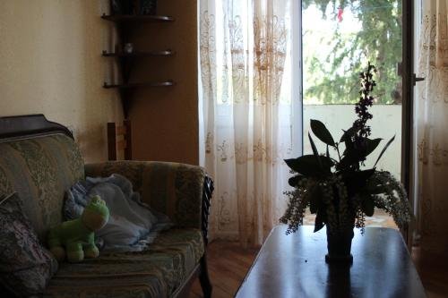 Гурджаани: Marine Bebo Bed and Breakfast