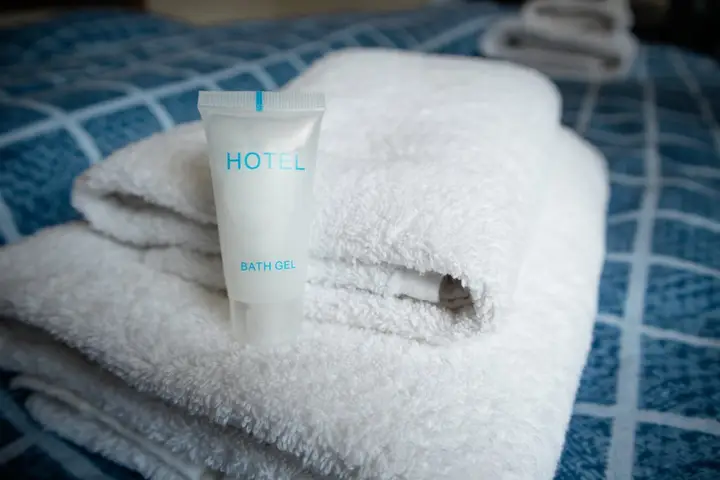 Тбилиси: Апарт-отель Hotel Salosi