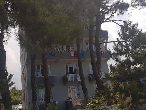 Кобулети: Midia Guest House