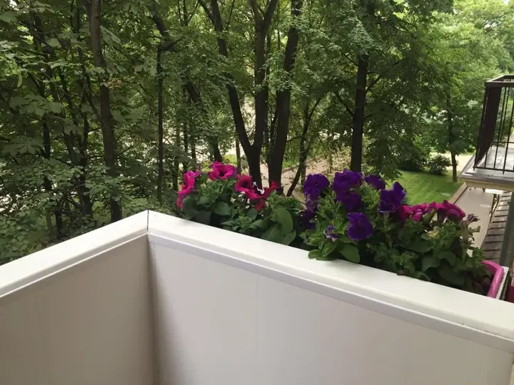 Минск: VIP studio Jacuzzi City center