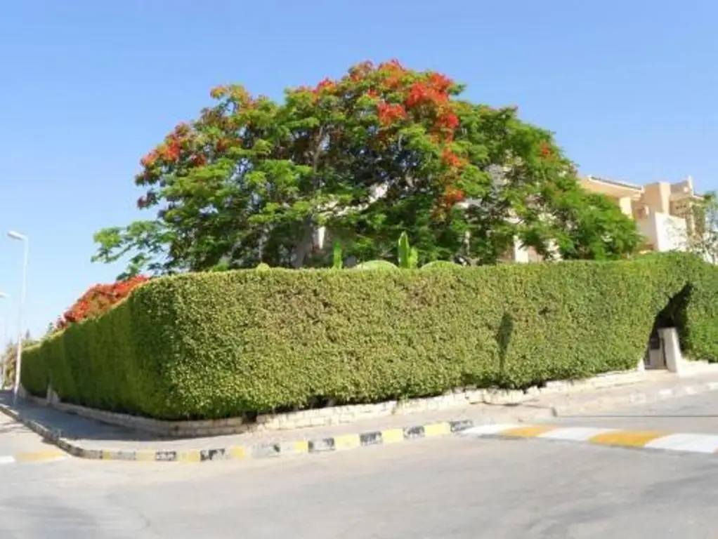 Эль-Аламейн: Marina Villa North Coast Egypt