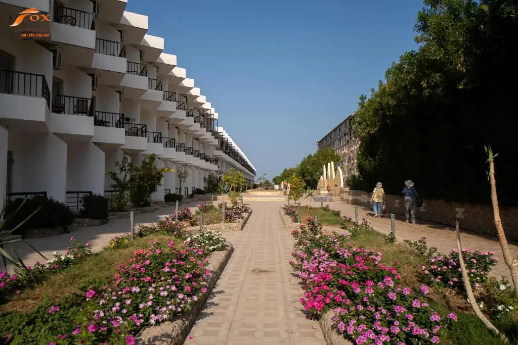 Хургада: Fox House Resort