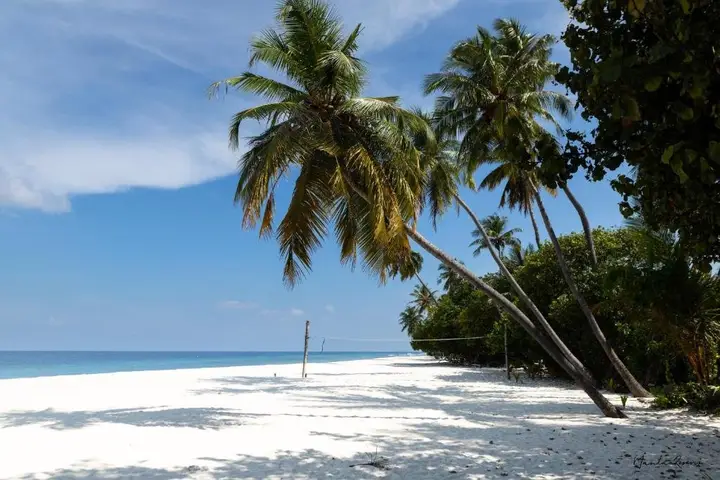 Атолл Баа: Manta Reserve
