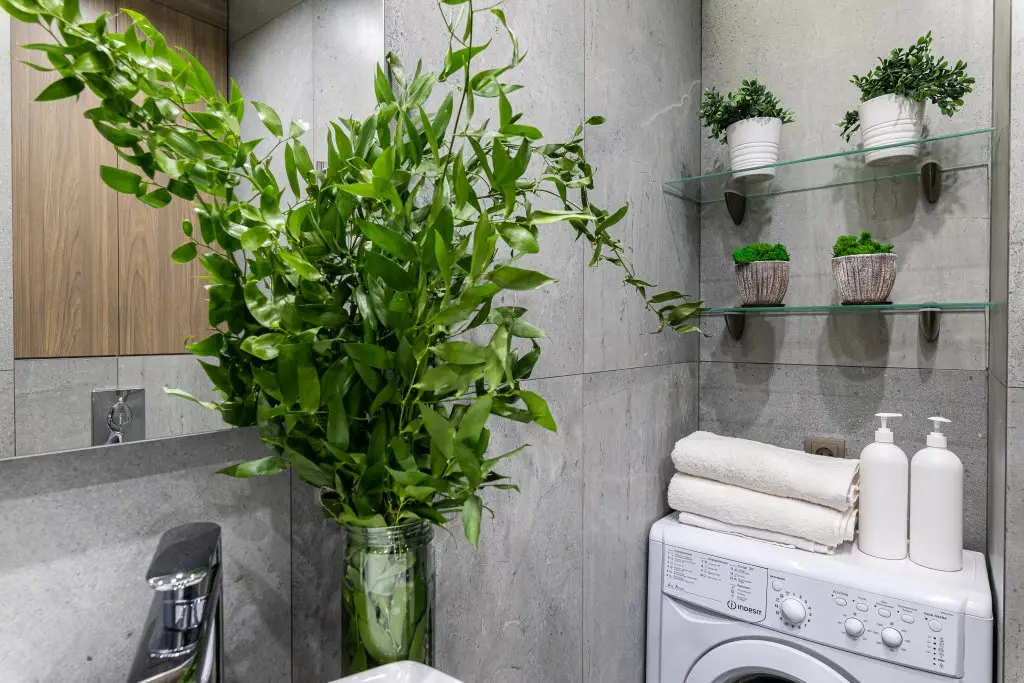 Казань: Апартаменты LS Savin House