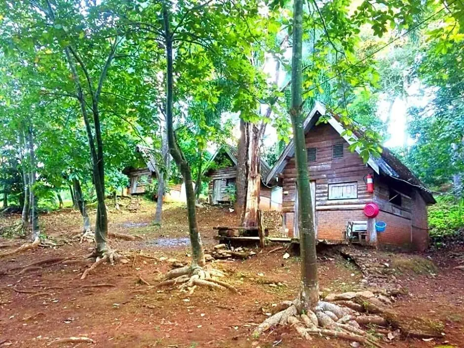 Пангмапха: Jungle guest house