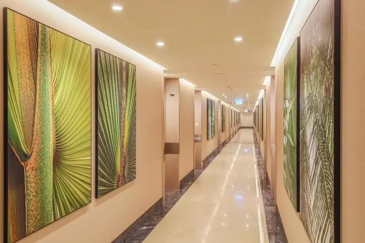 Дубай: Enjoy Your Stay With Spectacular Views of the Palm
