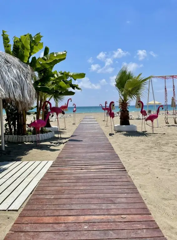 Аланья: Апартаменты SA Apartments 2bd Flat 150m to the Beach