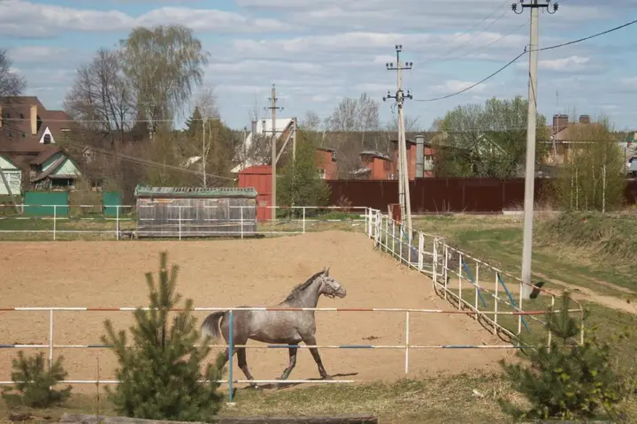 Архангельское: Dom v Zavidovo