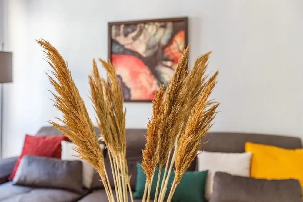 Стамбул: Flat Within Walking Distance to Istiklal Street