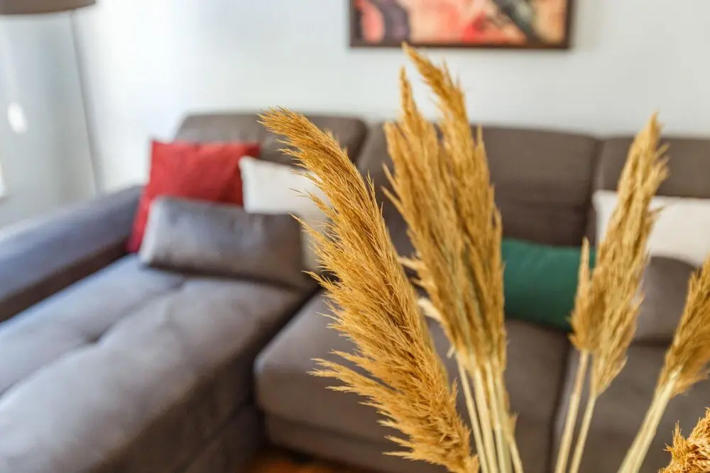 Стамбул: Flat Within Walking Distance to Istiklal Street