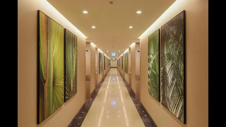 Дубай: Luxurious Stay With Spectacular View of the Palm Jumeirah