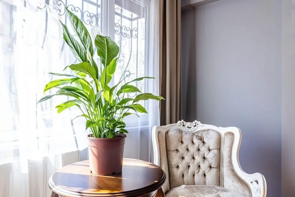 Стамбул: Fully Furnished Magnificent Flat in Uskudar