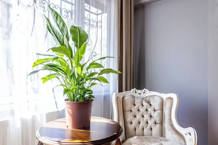 Стамбул: Fully Furnished Magnificent Flat in Uskudar