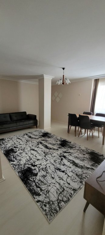 Стамбул: aronya istanbul