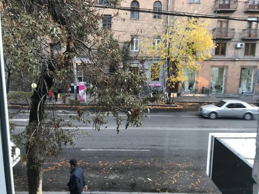 Ереван: Comfortable Apartment In City Center