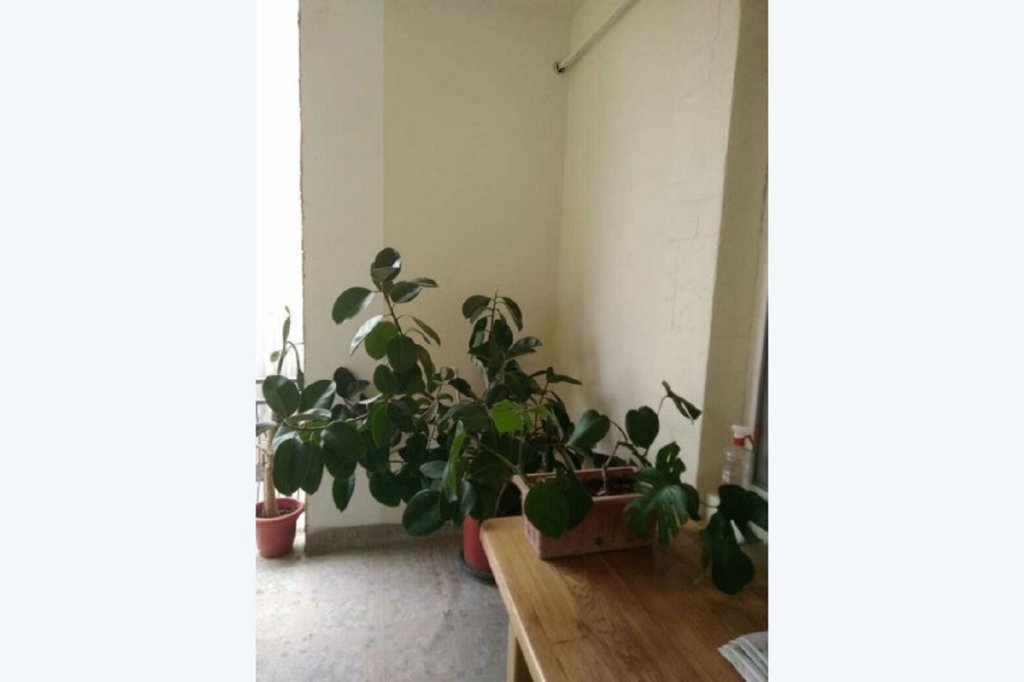 Витязево: Elena Guest House